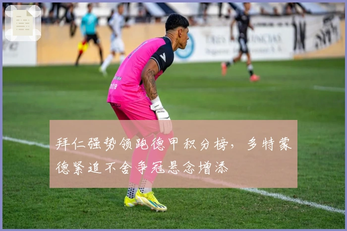 拜仁强势领跑德甲积分榜，多特蒙德紧追不舍争冠悬念增添